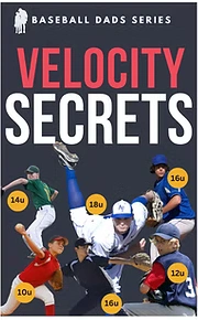 Velocity Secrets cover